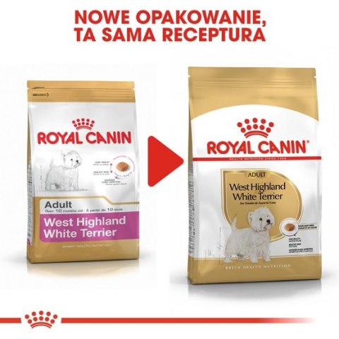 Royal Canin Breed Royal Canin West Highland White Terrier Adult karma sucha dla psów dorosłych rasy west highland white terrier 