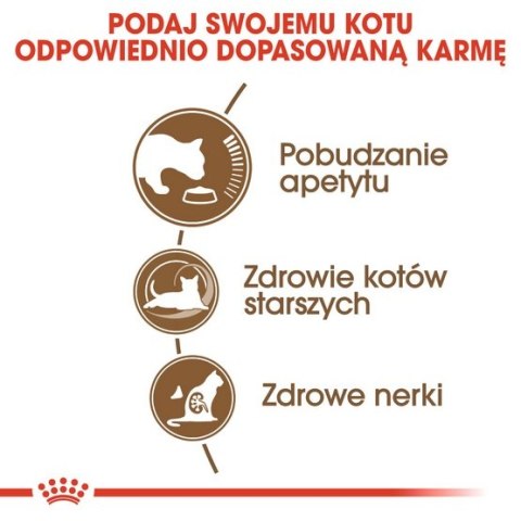 Royal Canin Feline Royal Canin Ageing +12 karma sucha dla kotów dojrzałych 400g