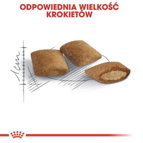 Royal Canin Feline Royal Canin Ageing +12 karma sucha dla kotów dojrzałych 400g