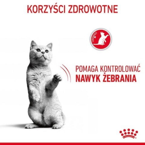 Royal Canin Feline Royal Canin Appetite Control Care karma sucha dla kotów dorosłych, domagających się jedzenia 3,5kg