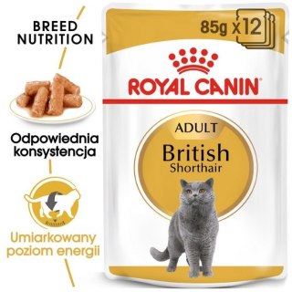 Royal Canin Feline Royal Canin British Shorthair karma mokra w sosie dla kotów dorosłych rasy brytyjski krótkowłosy saszetka 85g