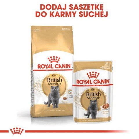 Royal Canin Feline Royal Canin British Shorthair karma mokra w sosie dla kotów dorosłych rasy brytyjski krótkowłosy saszetka 85g