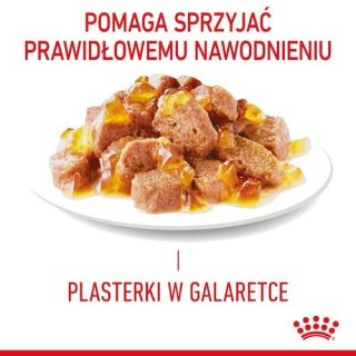 Royal Canin Feline Royal Canin Hair & Skin Care karma mokra w galaretce dla kotów dorosłych, lśniąca sierść i zdrowa skóra sasze