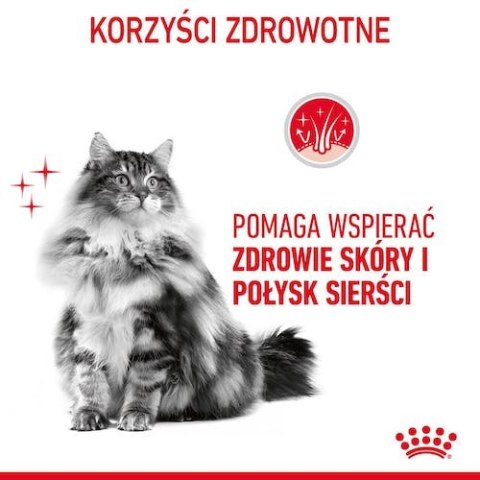 Royal Canin Feline Royal Canin Hair & Skin Care karma mokra w galaretce dla kotów dorosłych, lśniąca sierść i zdrowa skóra sasze