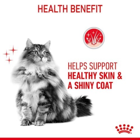 Royal Canin Feline Royal Canin Hair & Skin Care w sosie karma mokra dla kotów dorosłych, zdrowa skóra, piękna sierść saszetka 85