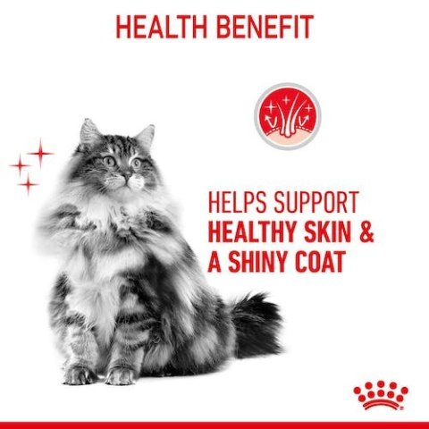 Royal Canin Feline Royal Canin Hair&Skin Care karma sucha dla kotów dorosłych, lśniąca sierść i zdrowa skóra 2kg