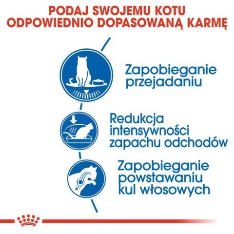 Royal Canin Feline Royal Canin Indoor Apetite Control karma sucha dla kotów dorosłych przebywających w domu, domagających się je