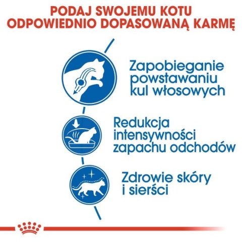 Royal Canin Feline Royal Canin Indoor Long Hair karma sucha dla kotów dorosłych, długowłose, przebywających wyłącznie w domu 2kg