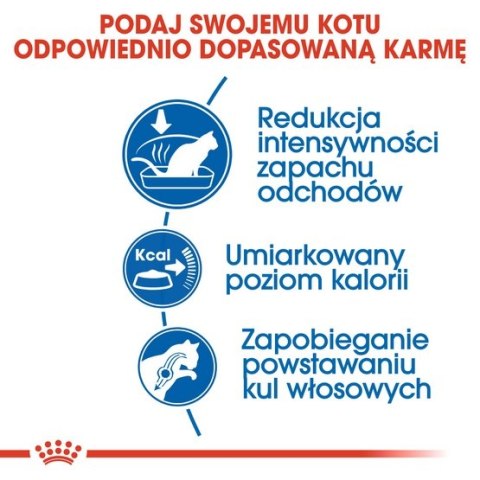 Royal Canin Feline Royal Canin Indoor karma sucha dla kotów dorosłych, przebywających wyłącznie w domu 2kg