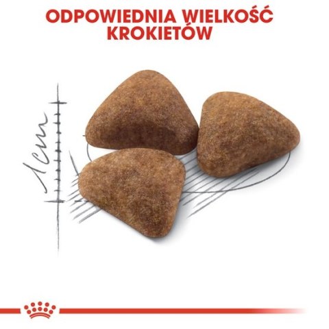 Royal Canin Feline Royal Canin Indoor karma sucha dla kotów dorosłych, przebywających wyłącznie w domu 2kg