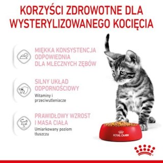 Royal Canin Feline Royal Canin Kitten Sterilised karma mokra w galaretce dla kociąt od 6 do 12 miesiąca życia, sterylizowanych s