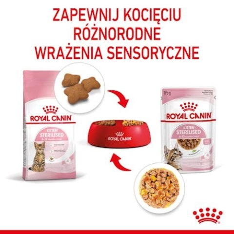 Royal Canin Feline Royal Canin Kitten Sterilised karma mokra w galaretce dla kociąt od 6 do 12 miesiąca życia, sterylizowanych s