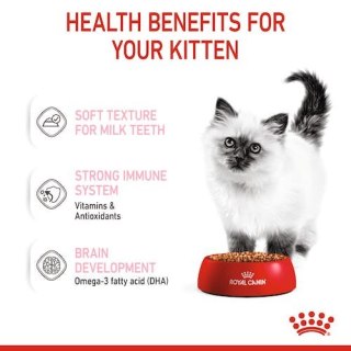 Royal Canin Feline Royal Canin Kitten w galaretce karma mokra dla kociąt do 12 miesiąca życia saszetka 85g