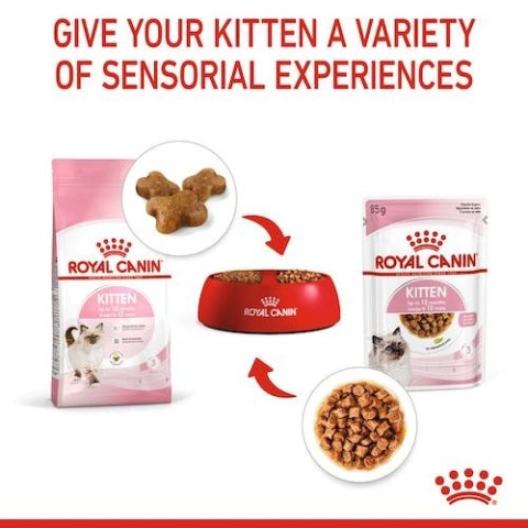 Royal Canin Feline Royal Canin Kitten w galaretce karma mokra dla kociąt do 12 miesiąca życia saszetka 85g