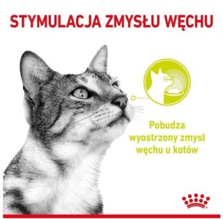 Royal Canin Feline Royal Canin Sensory Smell w sosie karma mokra dla kotów dorosłych saszetka 85g