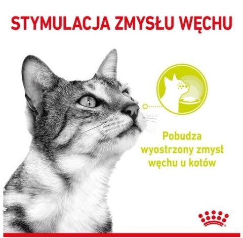 Royal Canin Feline Royal Canin Sensory Smell w sosie karma mokra dla kotów dorosłych saszetka 85g