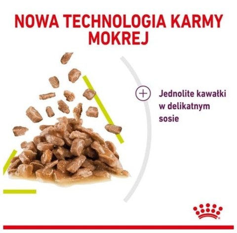 Royal Canin Feline Royal Canin Sensory Smell w sosie karma mokra dla kotów dorosłych saszetka 85g