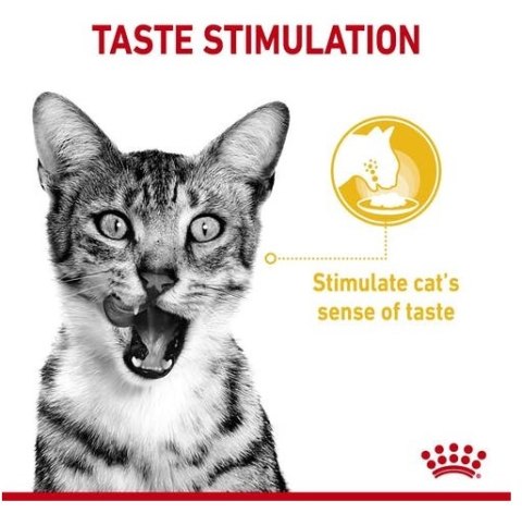 Royal Canin Feline Royal Canin Sensory Taste w sosie karma mokra dla kotów dorosłych saszetka 85g