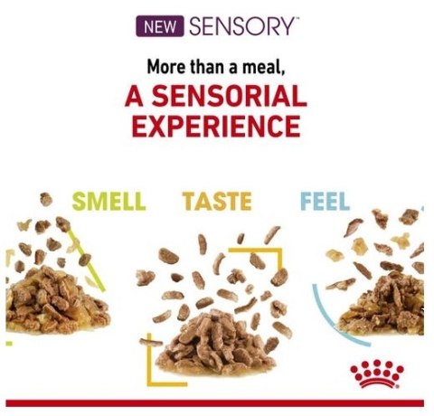 Royal Canin Feline Royal Canin Sensory Taste w sosie karma mokra dla kotów dorosłych saszetka 85g