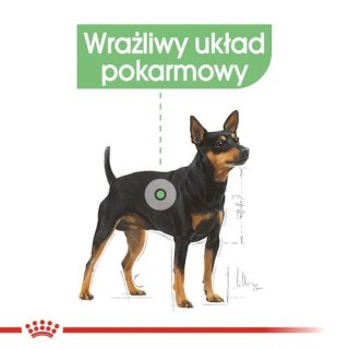 Royal Canin Size Royal Canin Digestive Care karma mokra dla psów dorosłych, wszystkich ras o wrażliwym przewodzie pokarmowym sas