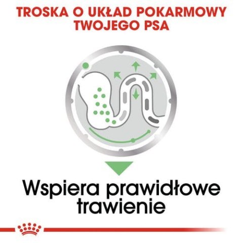 Royal Canin Size Royal Canin Digestive Care karma mokra dla psów dorosłych, wszystkich ras o wrażliwym przewodzie pokarmowym sas