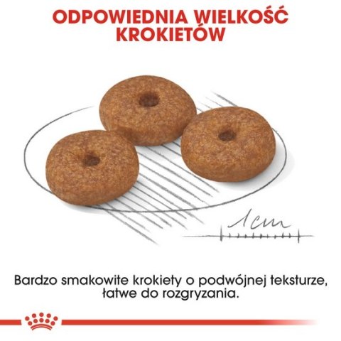 Royal Canin Size Royal Canin Mini Ageing 12+ karma sucha dla psów dojrzałych po 12 roku życia, ras małych 800g