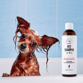 PETS PETS Pet Shampoo Camomile - szampon rumiankowy 250ml