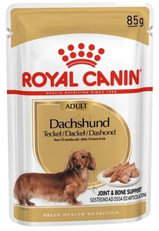 Royal Canin Breed Royal Canin Dachshund karma mokra - pasztet, dla psów dorosłych rasy jamnik saszetka 85g