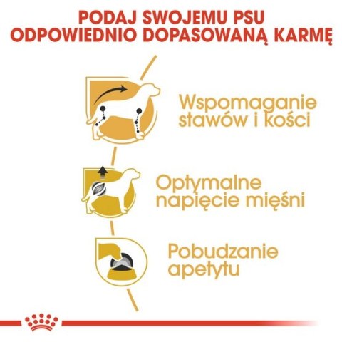 Royal Canin Breed Royal Canin Dachshund karma mokra - pasztet, dla psów dorosłych rasy jamnik saszetka 85g