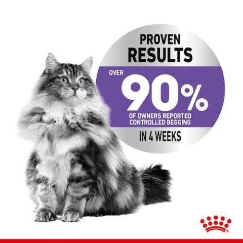 Royal Canin Feline Royal Canin Appetite Control Care karma mokra w sosie dla kotów dorosłych, domagających się jedzenia saszetka