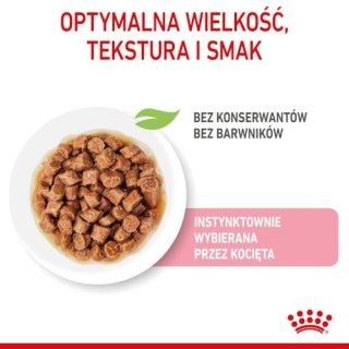 Royal Canin Feline Royal Canin Kitten Sterilised karma mokra w sosie dla kociąt od 6 do 12 miesiąca życia, sterylizowanych sasze