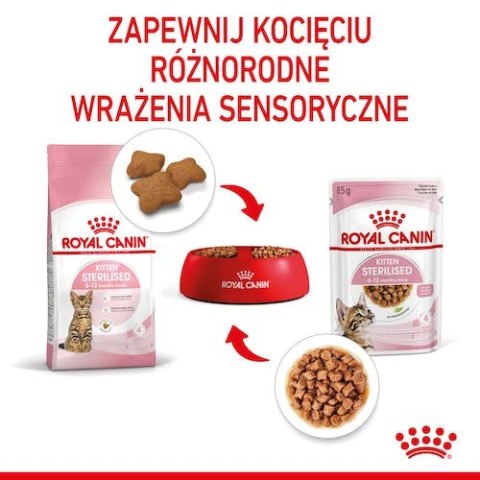 Royal Canin Feline Royal Canin Kitten Sterilised karma mokra w sosie dla kociąt od 6 do 12 miesiąca życia, sterylizowanych sasze