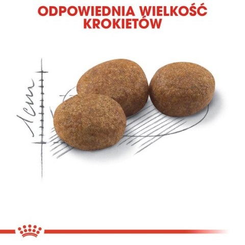 Royal Canin Feline Royal Canin Sterilised karma sucha dla kotów dorosłych, sterylizowanych 12kg (10+2kg)