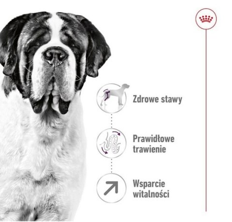 Royal Canin Size Royal Canin Giant Adult karma sucha dla psów dorosłych, od 18/24 miesiąca życia, ras olbrzymich PROMOCJA 18kg (