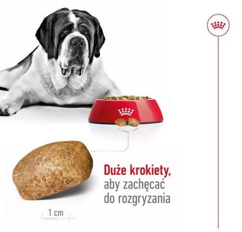 Royal Canin Size Royal Canin Giant Adult karma sucha dla psów dorosłych, od 18/24 miesiąca życia, ras olbrzymich PROMOCJA 18kg (