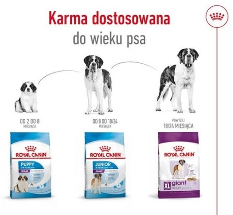 Royal Canin Size Royal Canin Giant Adult karma sucha dla psów dorosłych, od 18/24 miesiąca życia, ras olbrzymich PROMOCJA 18kg (