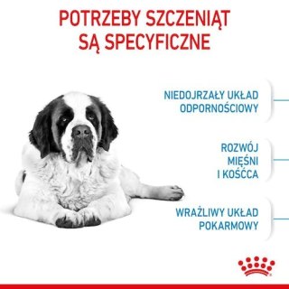 Royal Canin Size Royal Canin Giant Junior karma sucha dla szczeniąt od 8 do 18/24 miesiąca życia, ras olbrzymich 15kg