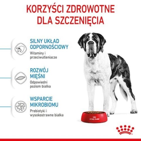 Royal Canin Size Royal Canin Giant Junior karma sucha dla szczeniąt od 8 do 18/24 miesiąca życia, ras olbrzymich 15kg