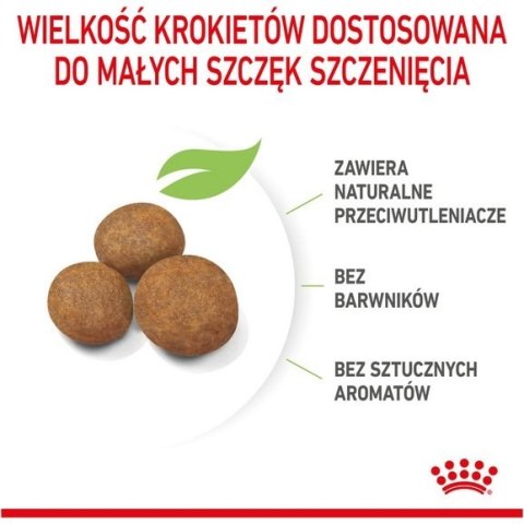 Royal Canin Size Royal Canin Maxi Puppy karma sucha dla szczeniąt, od 2 do 15 miesiąca życia, ras dużych 15kg