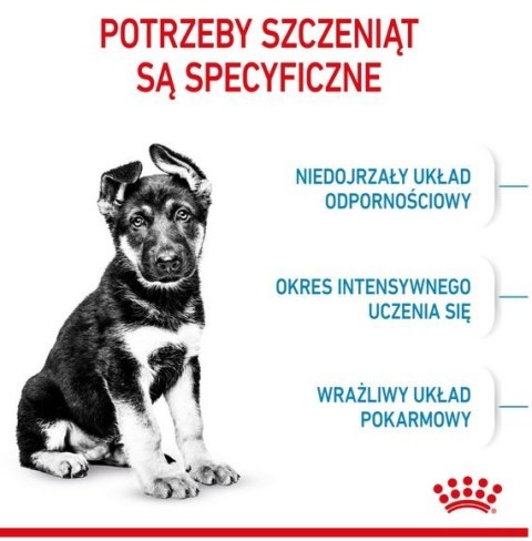 Royal Canin Size Royal Canin Maxi Puppy karma sucha dla szczeniąt, od 2 do 15 miesiąca życia, ras dużych 15kg