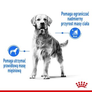 Royal Canin Size Royal Canin Medium Light Weight Care karma sucha dla psów dorosłych, ras średnich tendencją do nadwagi 12kg