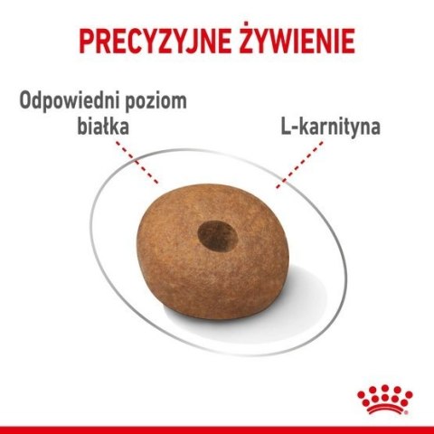 Royal Canin Size Royal Canin Medium Light Weight Care karma sucha dla psów dorosłych, ras średnich tendencją do nadwagi 12kg