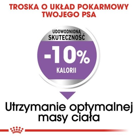 Royal Canin Size Royal Canin Medium Sterilised karma sucha dla psów dorosłych, ras średnich, sterylizowanych 3kg