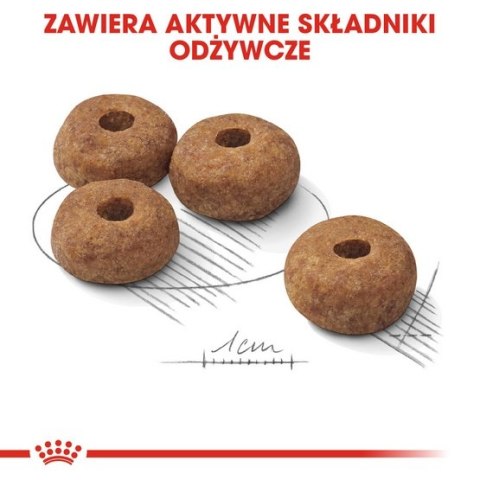 Royal Canin Size Royal Canin Medium Sterilised karma sucha dla psów dorosłych, ras średnich, sterylizowanych 3kg