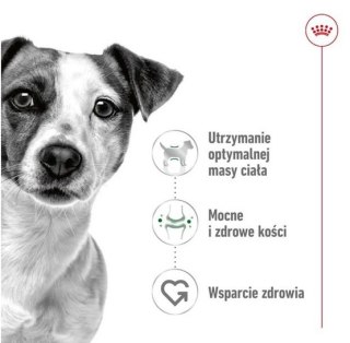 Royal Canin Size Royal Canin Mini Adult karma sucha dla psów dorosłych, ras małych 8kg