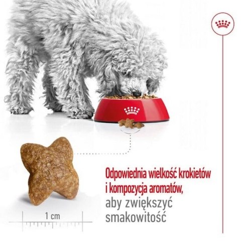 Royal Canin Size Royal Canin Mini Adult karma sucha dla psów dorosłych, ras małych 8kg