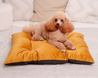 MIMIKO Pets MIMIKO Pets Legowisko Poducha Velvet 70x50cm musztarda