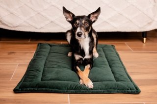 MIMIKO Pets MIMIKO Pets Mata Velvet 100x70cm butelkowa zieleń