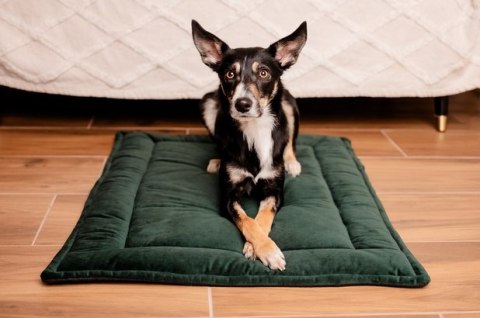 MIMIKO Pets MIMIKO Pets Mata Velvet 100x70cm butelkowa zieleń MIMIKO Pets MIMIKO Pets Mata Velvet 100x70cm butelkowa zieleń