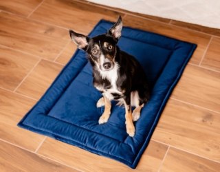 MIMIKO Pets MIMIKO Pets Mata Velvet 100x70cm granat